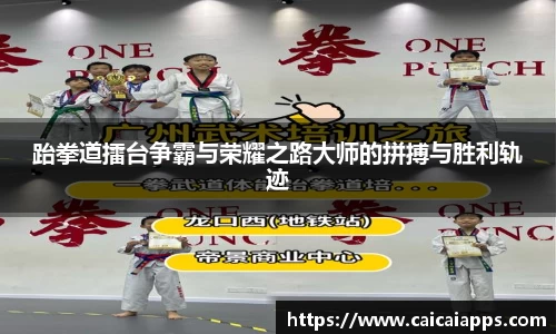 跆拳道擂台争霸与荣耀之路大师的拼搏与胜利轨迹
