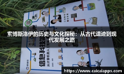 乐盈VI平台